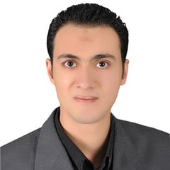 ahmed fathi, Financial Accountant