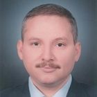 محمد علي عبد الغفار هيبة, Business Innovation Senior Manager (Corporate)