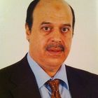 عادل خليل, Finance/ Accounting Manager