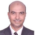 Ali Rashwan, Audit Manager