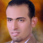 ayman mahmoud