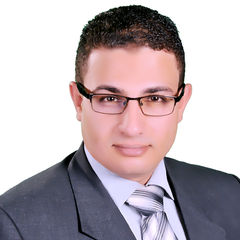 mohammed Abdel Aziz Elsayed