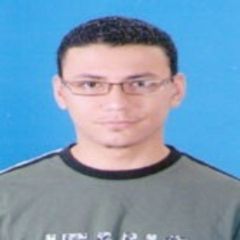 Taha El-adawy Taha Abd El-hamed, Warranty specialist 