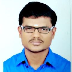 Raja Mariappan, Technical Team Leader