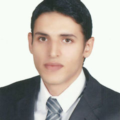 Ahmed Mahmoud Shaaban Rakha, Inventory Controller
