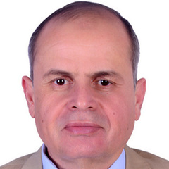 Hani Mohdaly