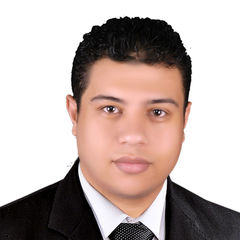 محمد مسعد ملطاس همام سنه, Business Administration