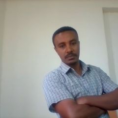 Addisu Sewbihon, lecturer