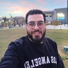 عمرو مجدي, financial accountant