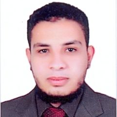 Sameh Mohamed Aly Sewilam, Oracle Technical Team Leader