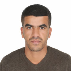 mohammed elyamani, server