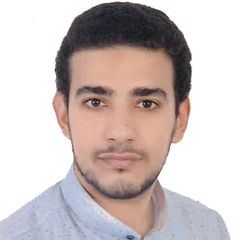 Mohamed  El Sayed Ebrahim, 