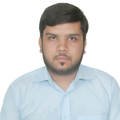 Muhammad Sarmad Anjum, Intern