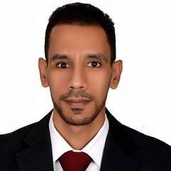 حمدي الحسيني, Accountant Manager