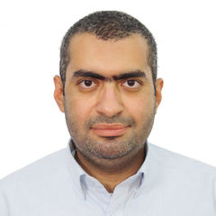 مصطفى احمد عيد  الوكيل, Export Sales Manager