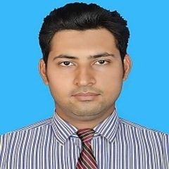 Salman Rokadia, IT / Network Project Manager