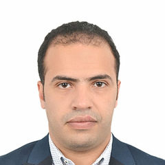 mohammed hatem, Senior Business Analyst