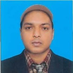 Rajesh kumar  Lal, Project Manager