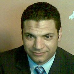 waleed adly, Sales Manager 