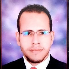 حسام عبدالحكيم, Accountant