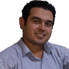 Mohamed Aly, Financial Manager