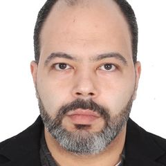 Mohamed Hatem, Group Internal Audit Senior Manager 