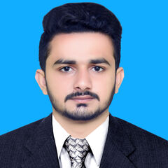 Rana Muhammad Waqar Ahmad