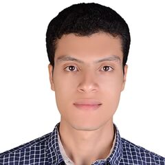 mahmoud etman, BI Developer