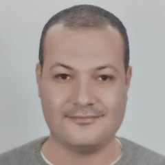 Hosny Aboraia