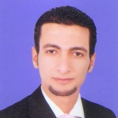 محمود الدهشورى, محاسب