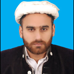 Shehiryar ali خان, Sub Engineer
