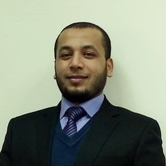 Walid Abdelraouf Abdellatief Mohammed Temsah, Accounting Assistance