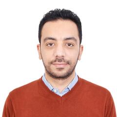 Mohamed Talaat, Key Account Manager