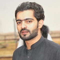 faisal iftikhar