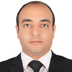 Mohamed ALFakharany, Systems Sales Manager