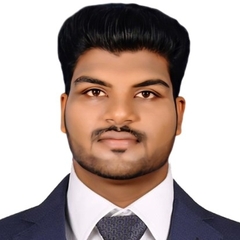 NaveenPrakash Palanivel 