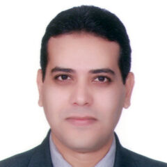 محمد محمد أحمد الجعفري, Digital Marketing Consultant