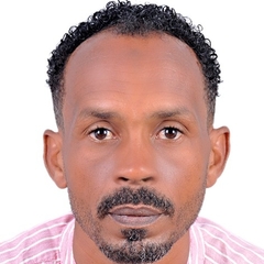 وضاح حامد محمد حامد خيال, فنى حاسوب