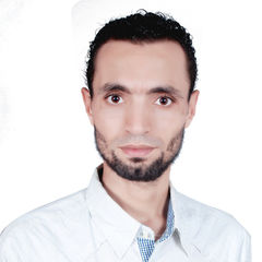 Mohammed Ragab, معلم