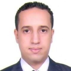 Mahmoud Arif, Data process section in charge