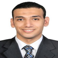Ahmed AbdelNasser, Retail Sales Consultant