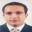 Mahmoud Eldeghady, Head of export department