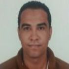 محمد عبدالناصر أحمد ربيع, jr network engineer