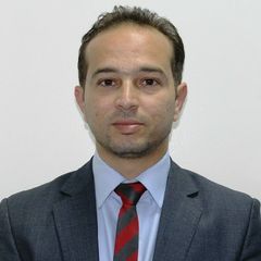 Adham Ramoon, Financial Controller