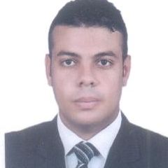 Mohamed Elweshahy, Visa Officer and Customer Service