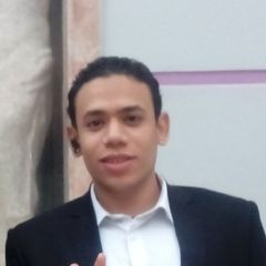 Mohamed AboElnasr