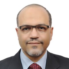 أيمن غنيم, Chief Executive Officer