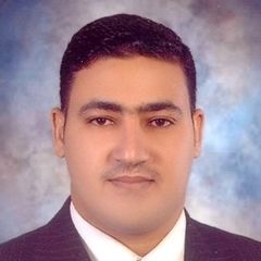 Hassan Salam, Microsoft Dynamic AX Senior Functional Consultant