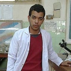 محمود سيد عبد الرحمن atwa, Chemist for Water desalination