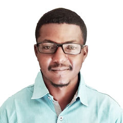 Ali Mohammed Abdallah Ahmed, مهندس معماري